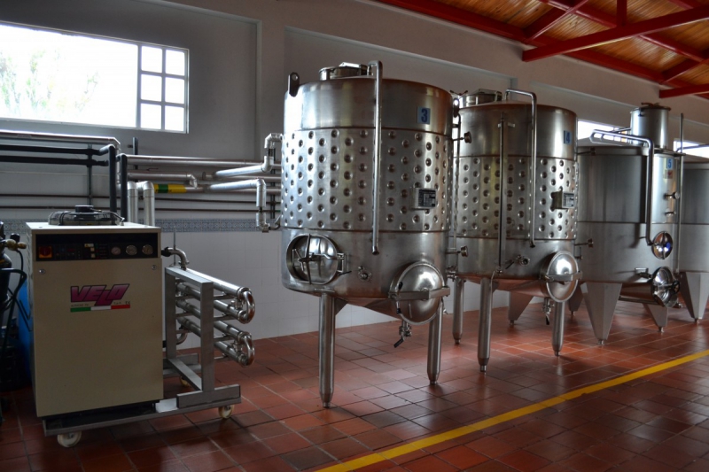 cave-LE TIGNET-min_wine_production_cantine_winery_drink_alcohol_vine_beverage-902036